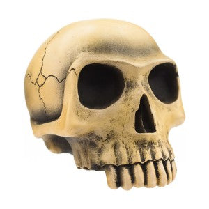 Richard Cranium skull gear shift knob with 1/2" x 13 threaded insert