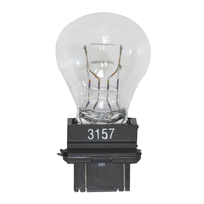 #3157 Clear glass incandescent light bulb - PAIR