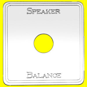Woody's Kenworth stainless steel "Speaker Balance" sleeper switch plate