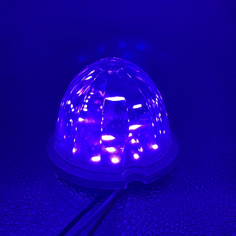 Watermelon style LED turn signal light w/surface mount base - CLEAR lens