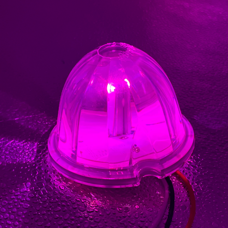 "Luminara" watermelon style LED turn signal light w/surface mount base