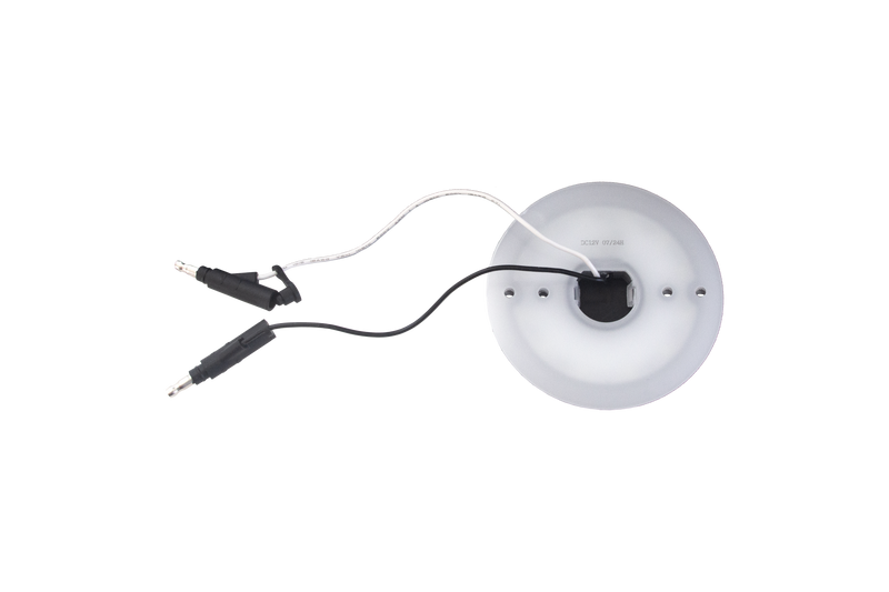 ICON Halo Glow LED back light plate for watermelon lights