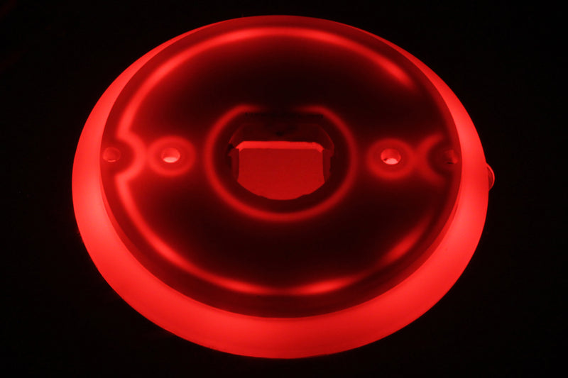 ICON Halo Glow LED back light plate for watermelon lights