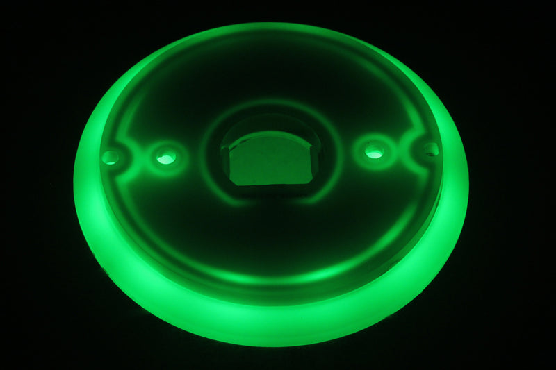 ICON Halo Glow LED back light plate for watermelon lights