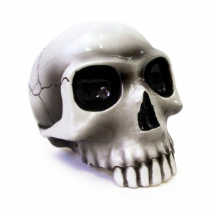 Richard Cranium skull gear shift knob with 1/2" x 13 threaded insert