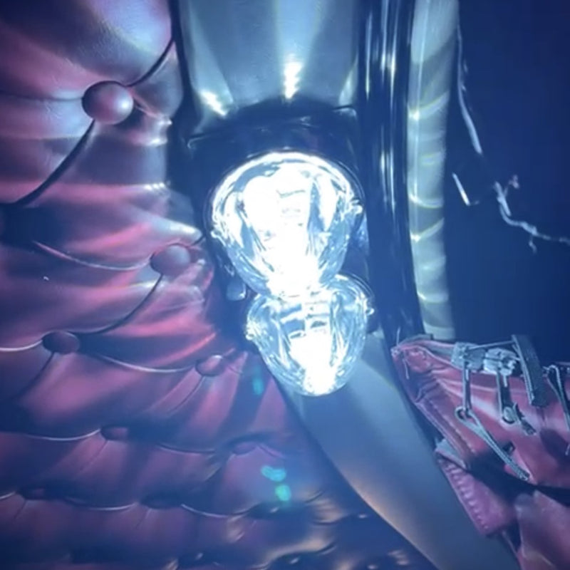 Kenworth W900 stainless steel double watermelon dome light plate with switch holes