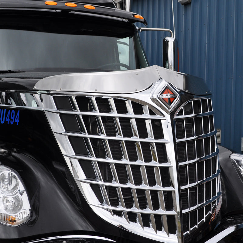 International Lonestar stainless steel bug deflector