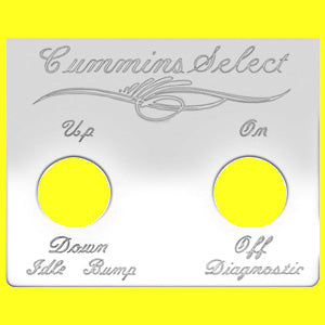 Woody's Peterbilt stainless steel switch plate