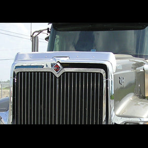 International 9900 stainless steel bug deflector