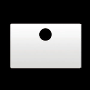 Peterbilt 1995-2000 stainless steel glove box cover w/holes for Peterbilt logo