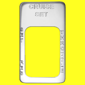 Woody's International stainless steel switch plate