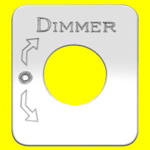 Woody's Kenworth stainless steel switch plate