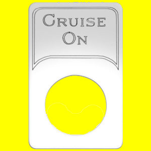 Woody's Kenworth stainless steel indicator light plate