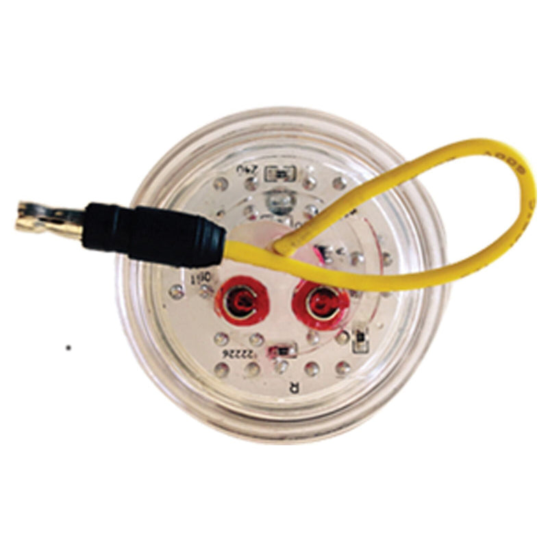 Dual Revolution Amber/Purple 2" round 7 diode LED marker light