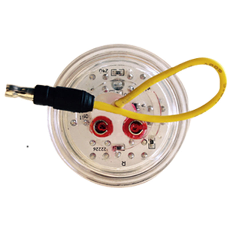 Dual Revolution Red/Purple 2" round 7 diode LED marker light