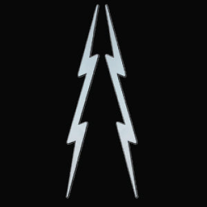 Stainless steel lightning bolts - PAIR, large