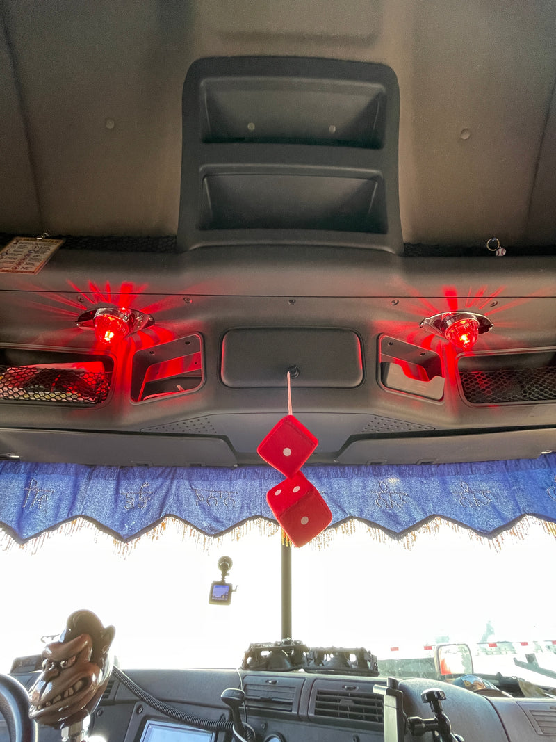 Freightliner Cascadia 2008-2018 stainless steel overhead dome light plate w/holes for 1 watermelon light and 1 toggle switch