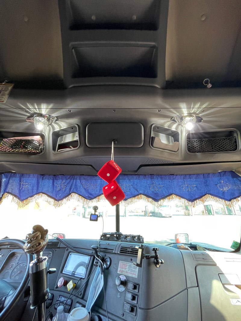 Freightliner Cascadia 2008-2018 stainless steel overhead dome light plate w/holes for 1 watermelon light and 1 toggle switch