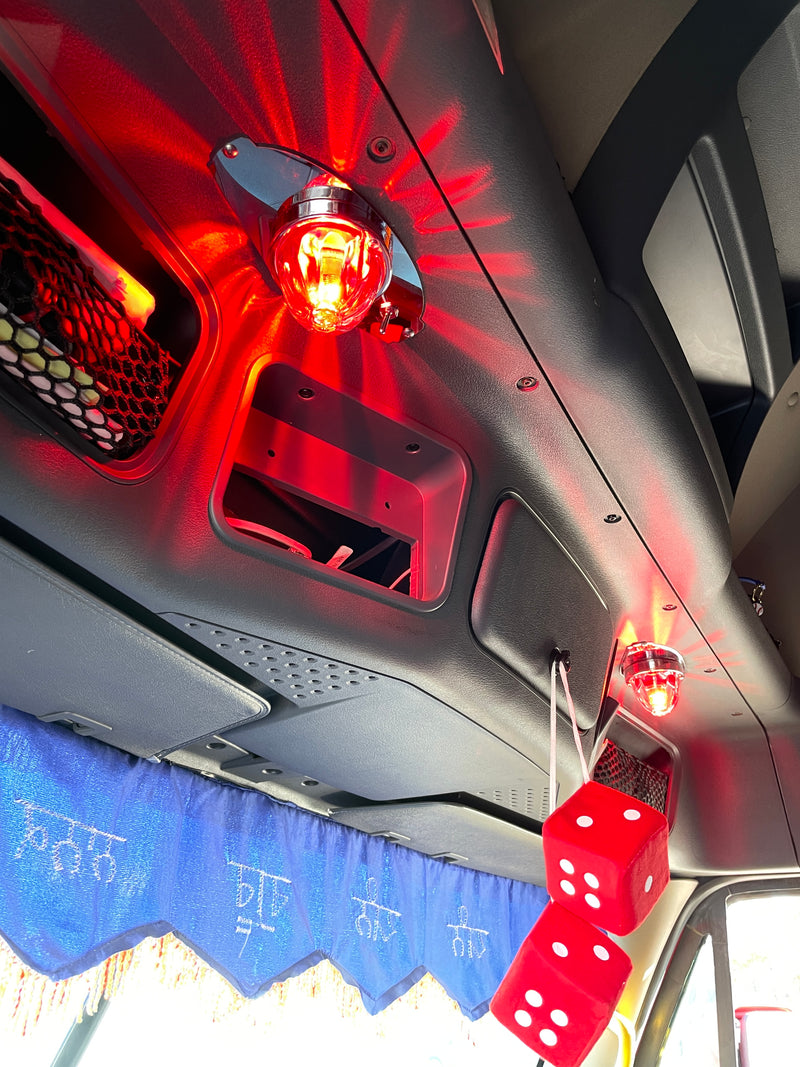 Freightliner Cascadia 2008-2018 stainless steel overhead dome light plate w/holes for 1 watermelon light and 1 toggle switch