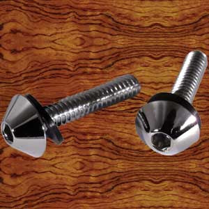 Rockwood Peterbilt -2005 chrome screws for window sill/upholstery - 12/PACK