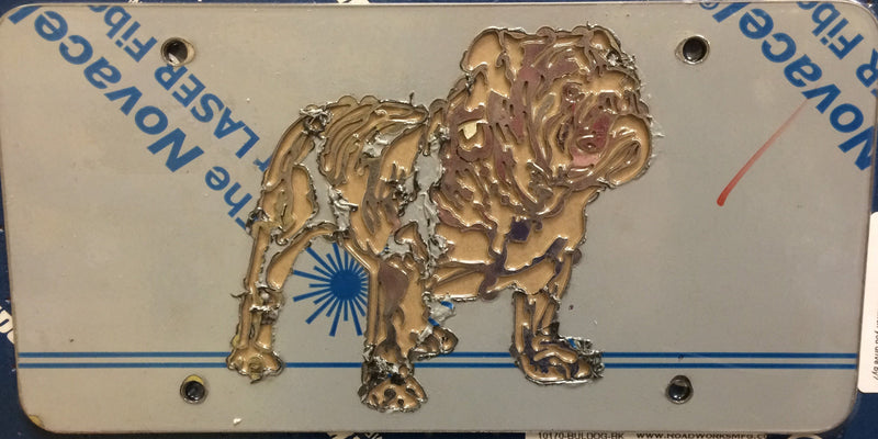 Bulldog stainless steel license plate with black background