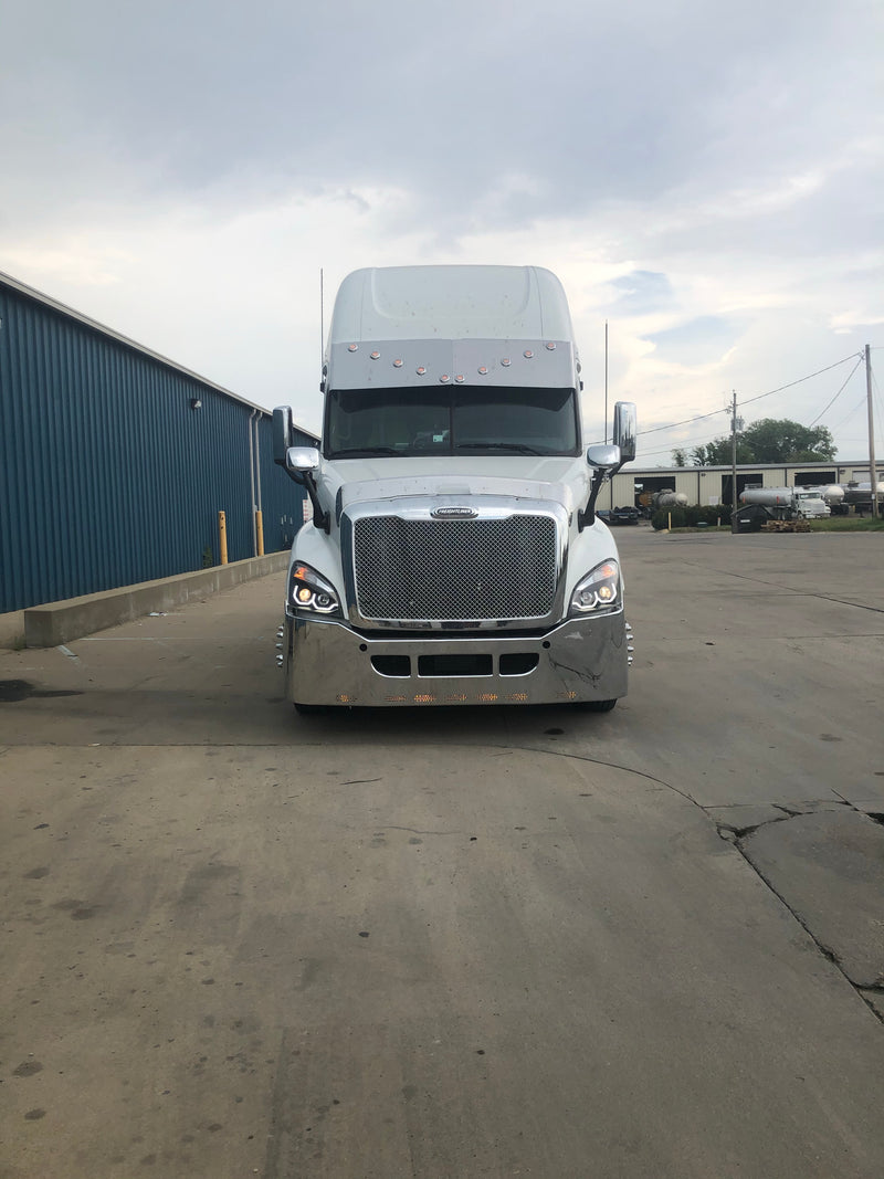 Freightliner Cascadia 2008-2017 chrome plastic mesh grill w/inner bug screen